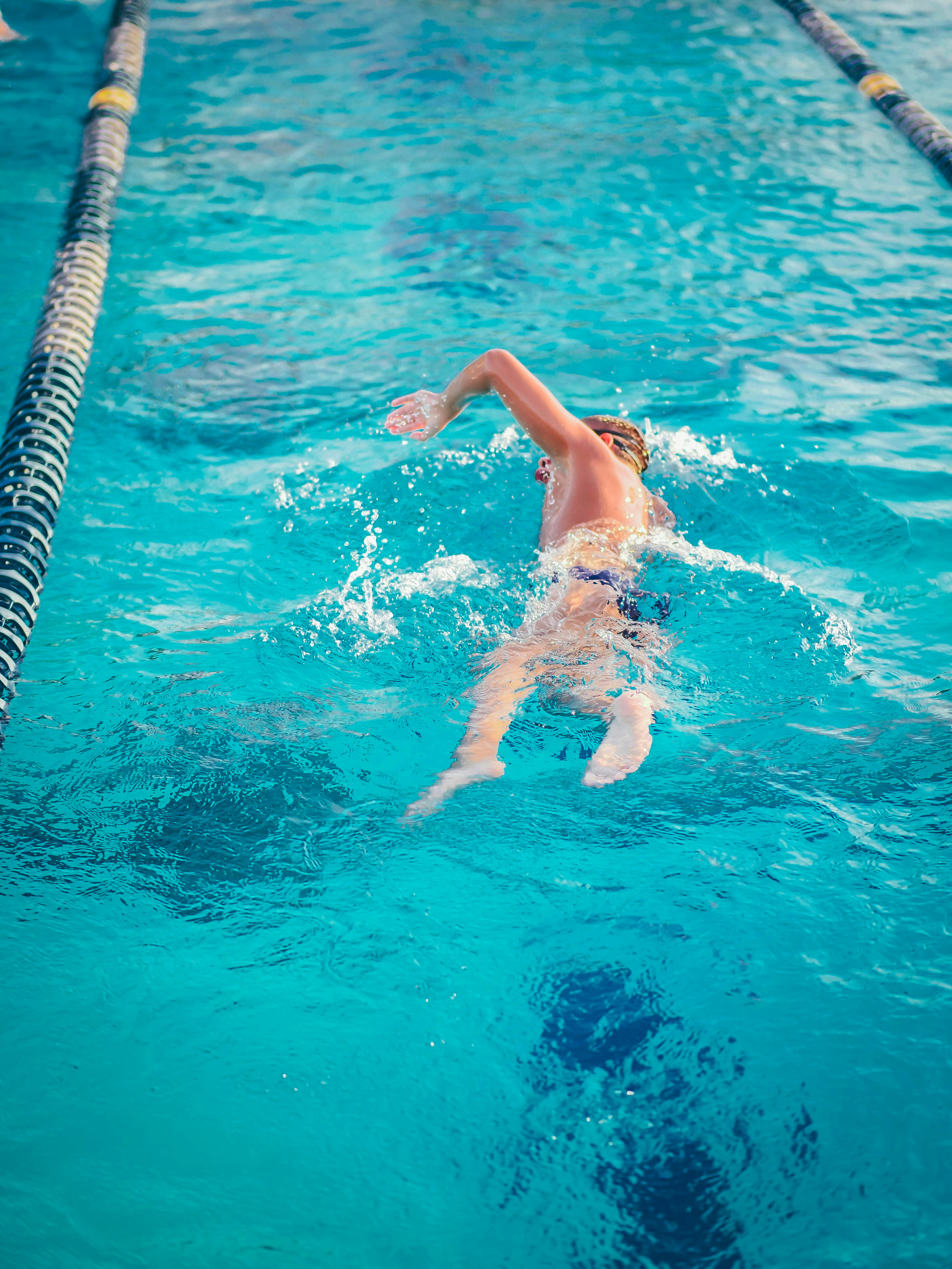 Natation